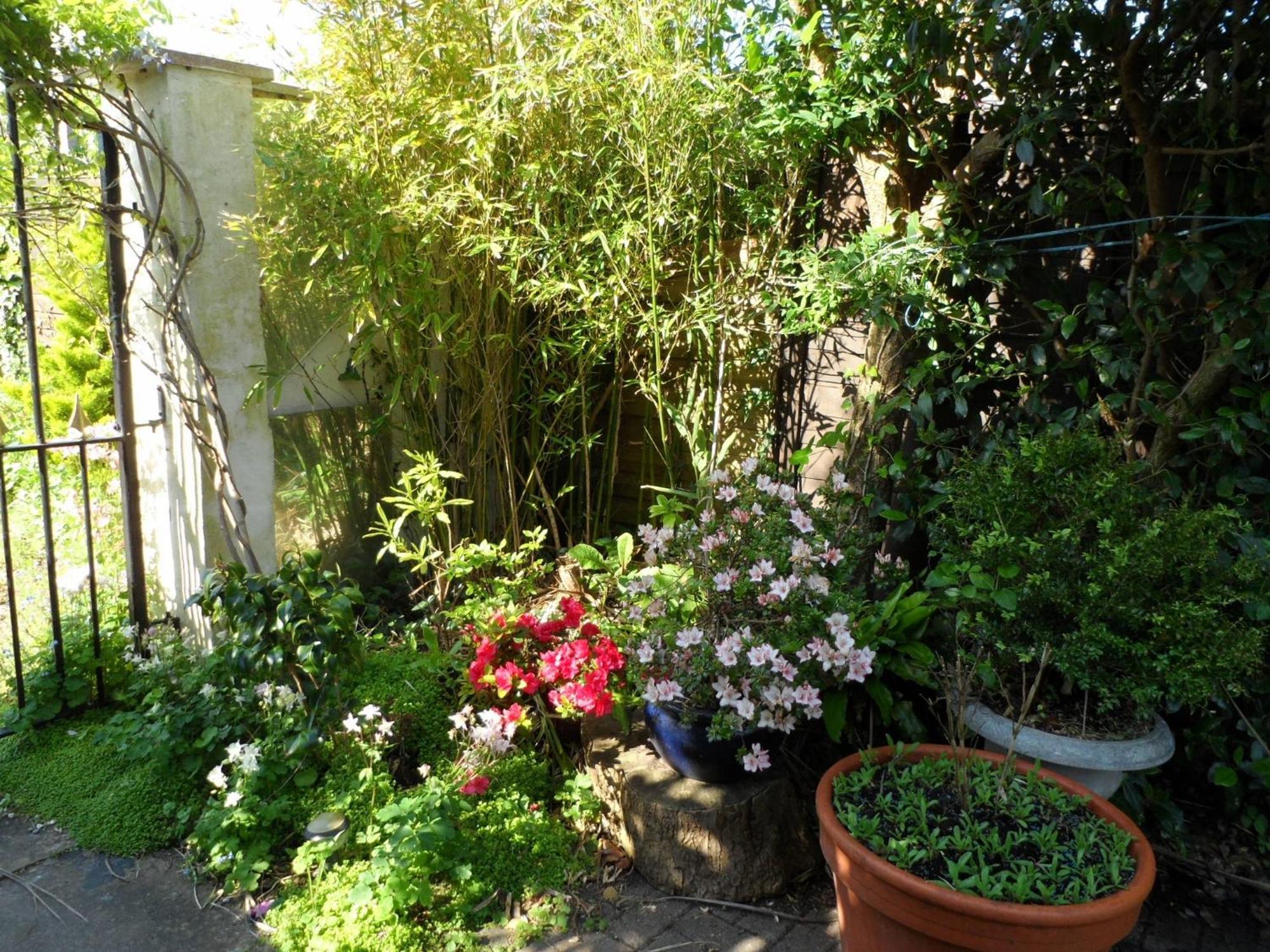 Galway Guest House Weymouth Luaran gambar
