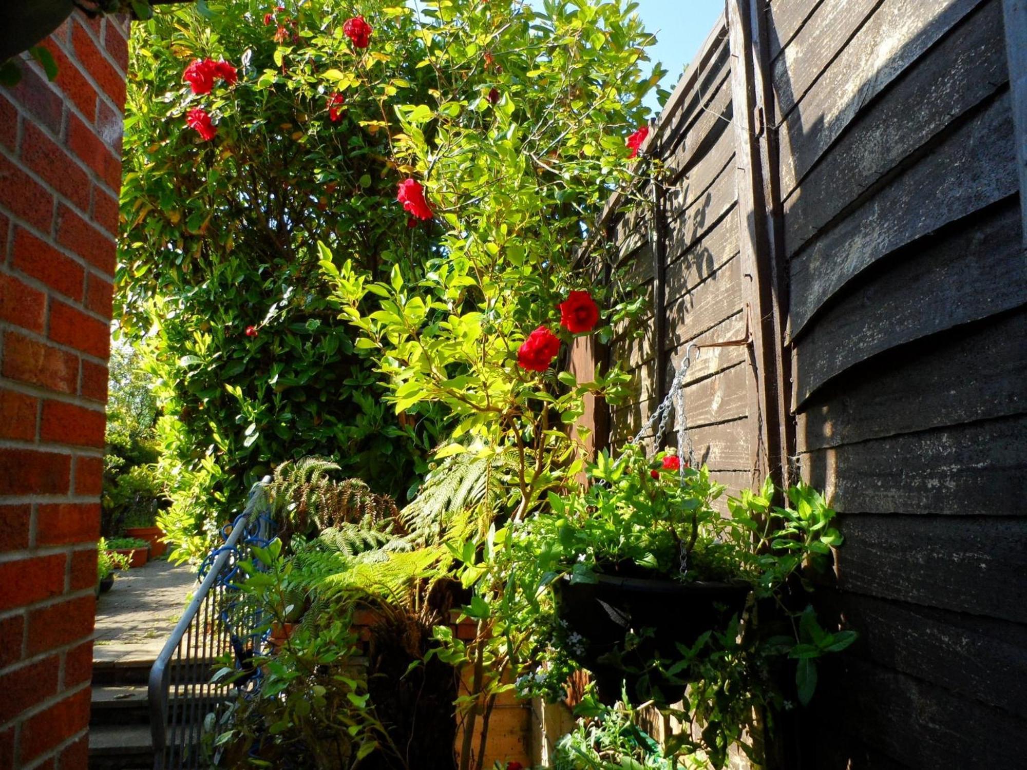 Galway Guest House Weymouth Luaran gambar